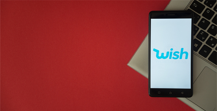 Italian WS detection channels